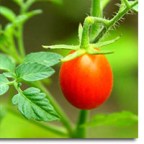 Gotta's Farm photo 4