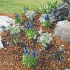 Gotta's Farm photo 10