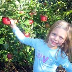 Gotta's Farm photo 16