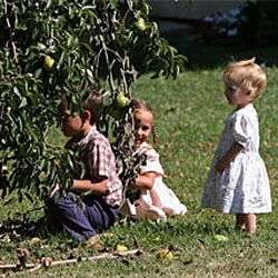 Gotta's Farm photo 19