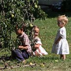 Gotta's Farm photo 20