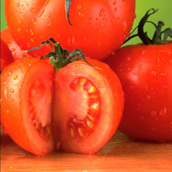 Gotta's Farm photo 23